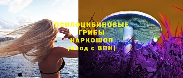 стаф Алексеевка