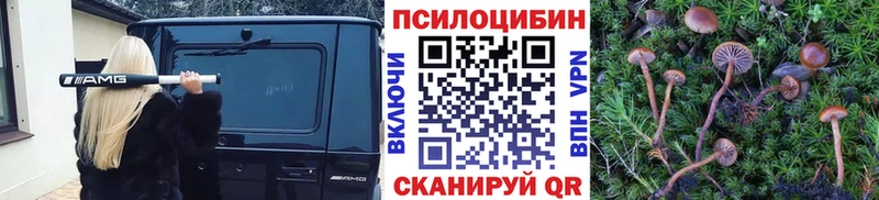 Псилоцибиновые грибы Cubensis  продажа наркотиков  Благодарный 